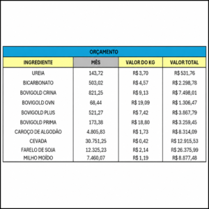 página de orçamento na planilha gestão do manejo nutricional